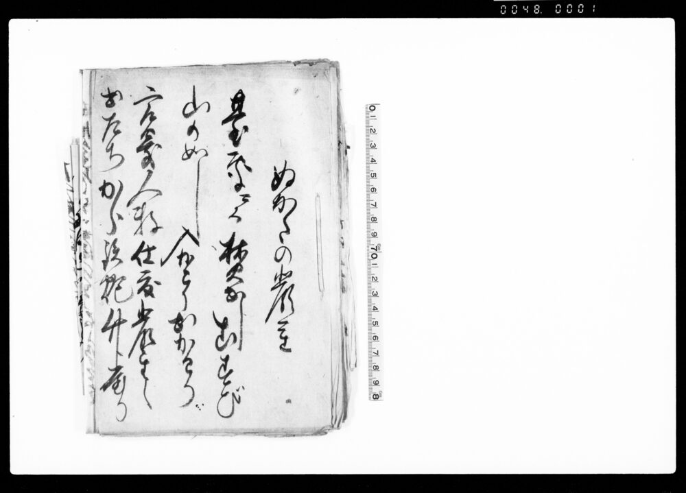 作品画像：ぬかたの厳重（武州世直し一揆記録・書簡綴）