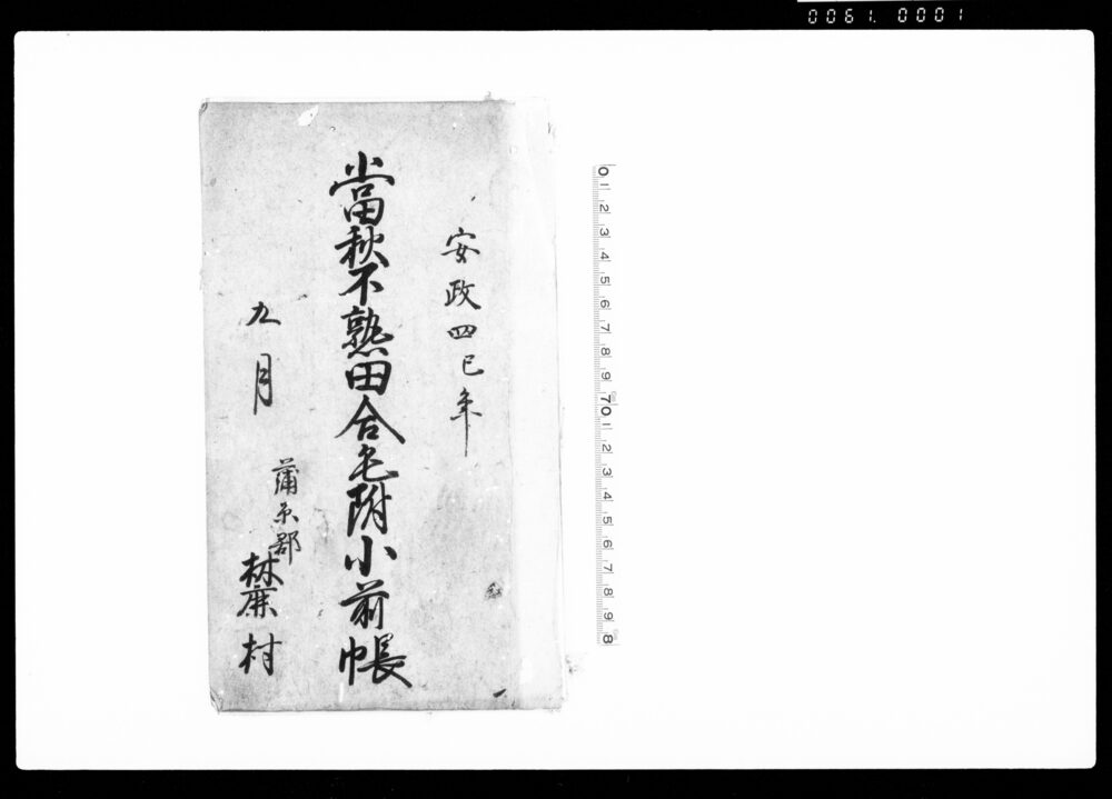 作品画像：当秋不熟田合毛附小前帳