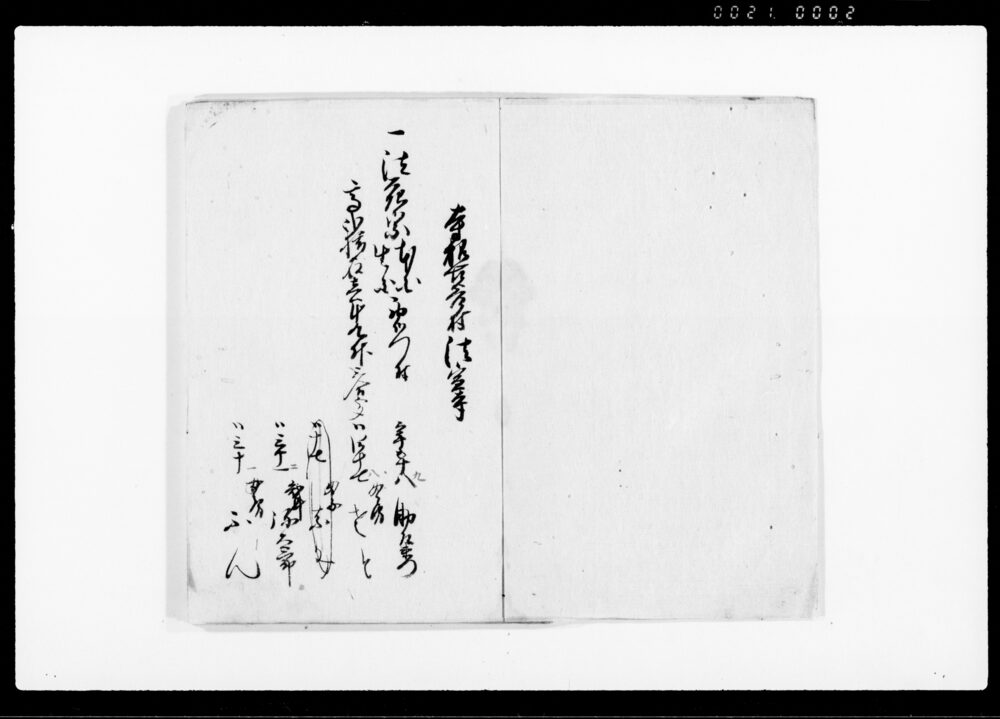 作品画像：辰年宗門人別下帳