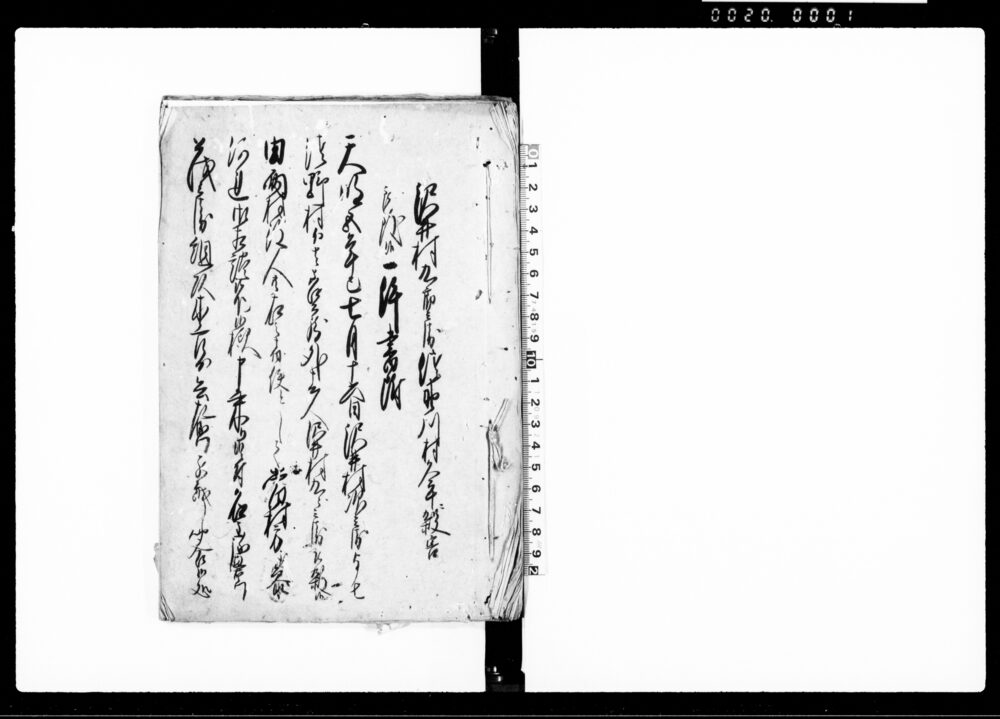 作品画像：沼井村九郎兵衛佐野川村久平ニ殺害被致候一件書附