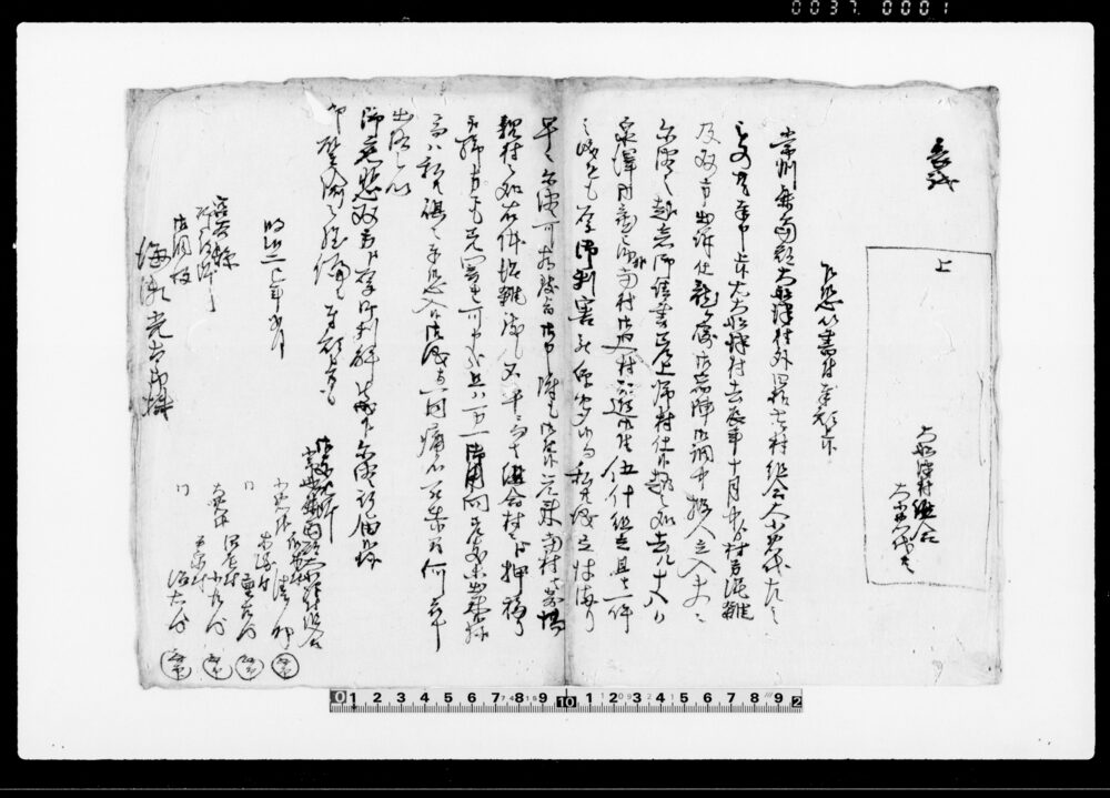 作品画像：乍恐以書付奉願上候（去辰年10月中より村方混雑及双方出訴仕につき）