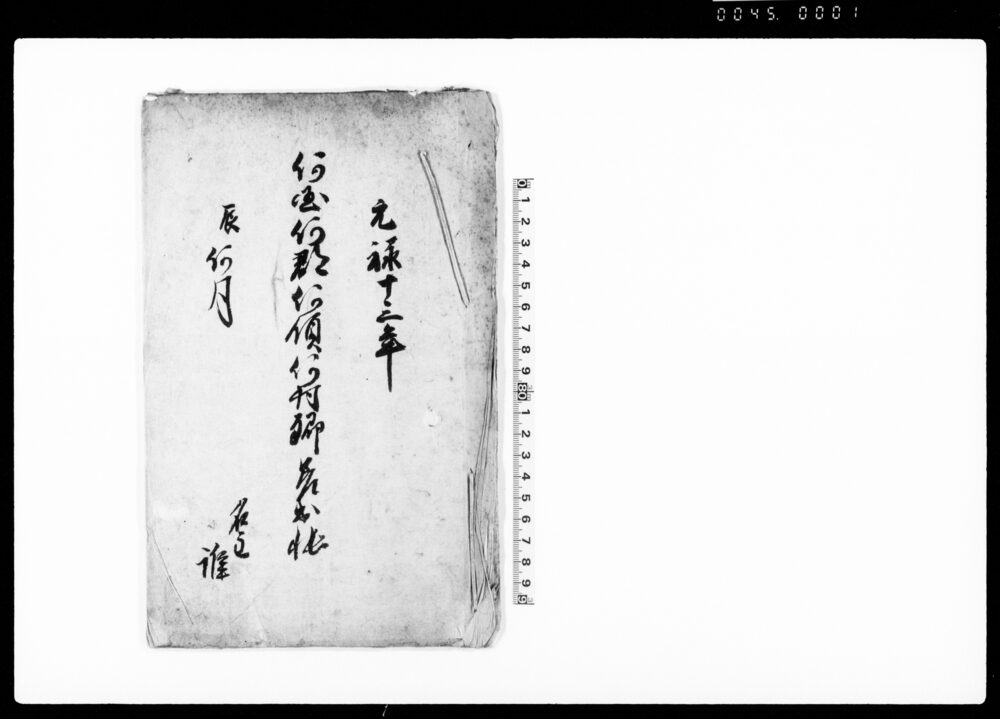 作品画像：何国何郡何領何村郷差出帳（雛形）