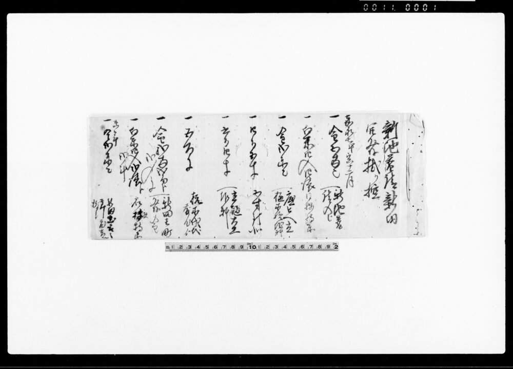 作品画像：雜地普請新田開発掛リ控 他
