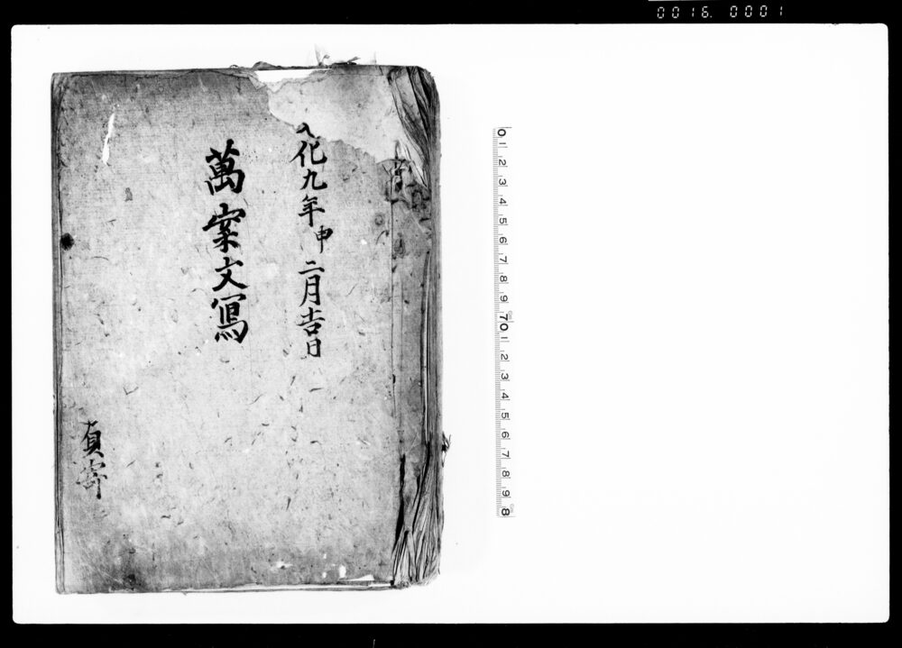 作品画像：万案文写