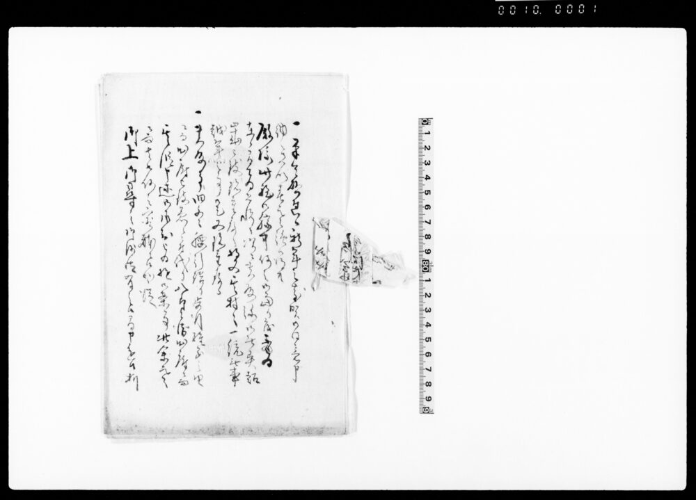 作品画像：（諸留帳）