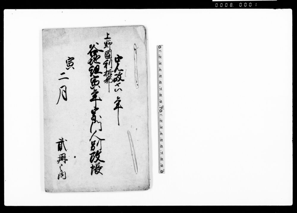 作品画像：上野国利根郡谷地組寅年宗門人別改帳 弐冊之内