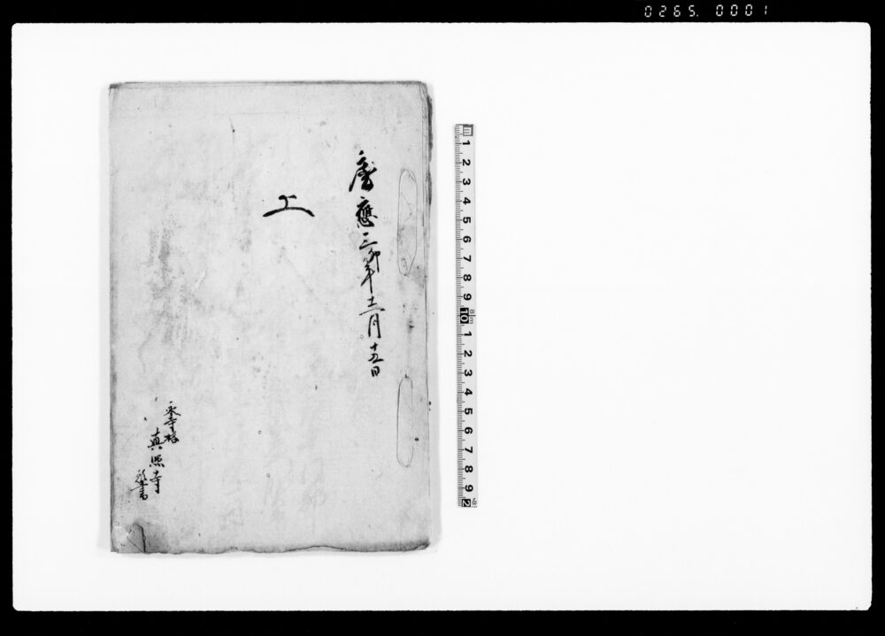 作品画像：上（真照寺　寺格引上一件）