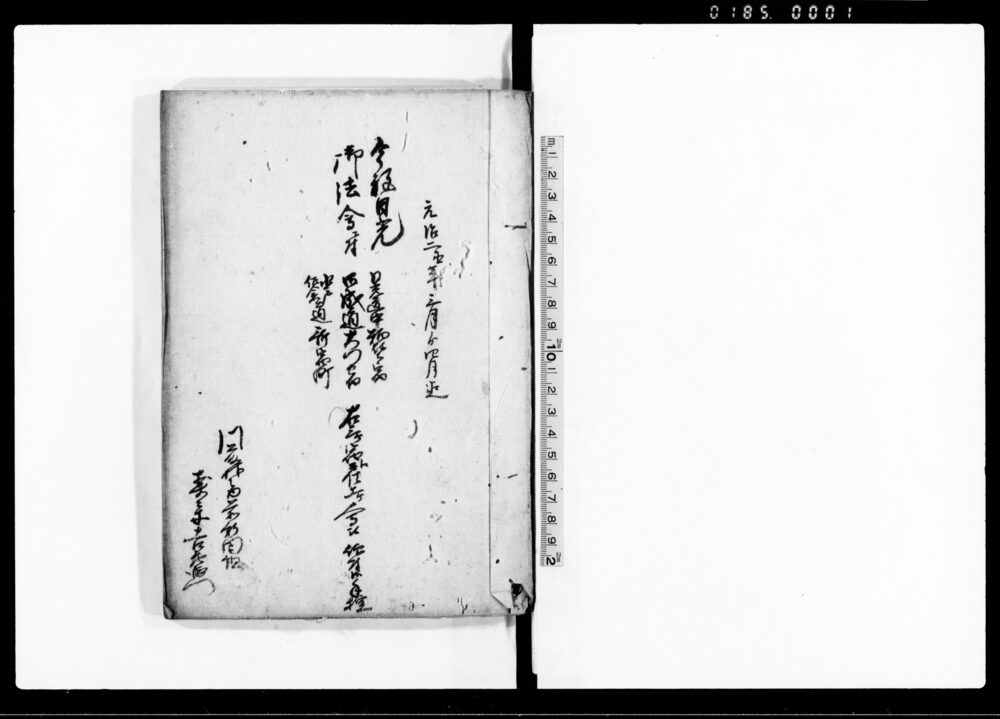 作品画像：今般日光御法会ニ付日光道中粕壁宿御成道大門宿水戸佐倉