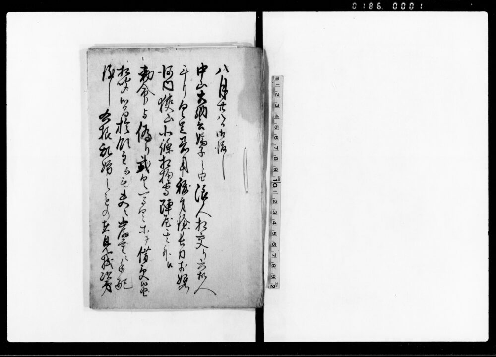 作品画像：（中山大納言一件）