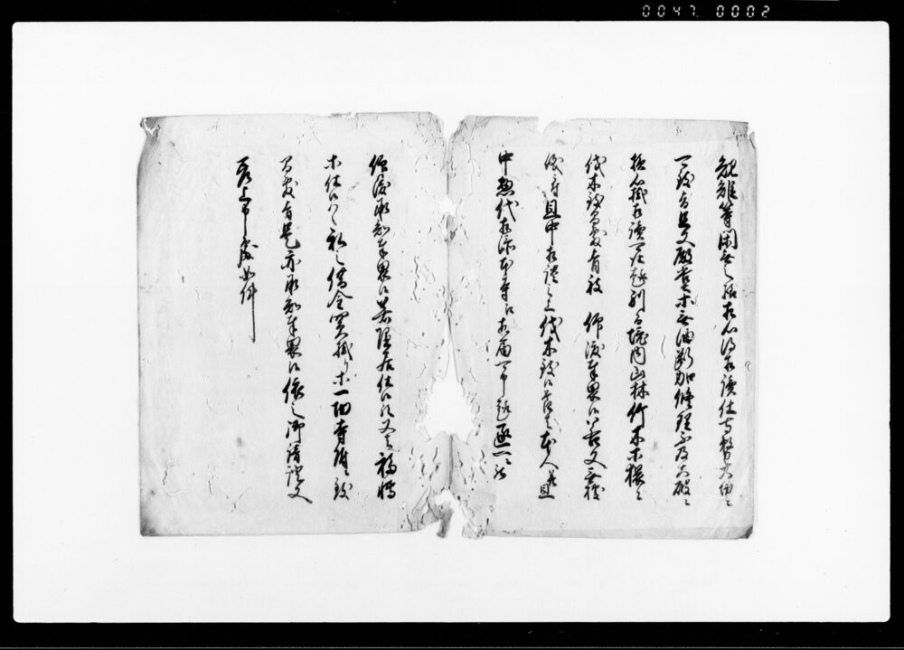 作品画像：差上申御請一札之事