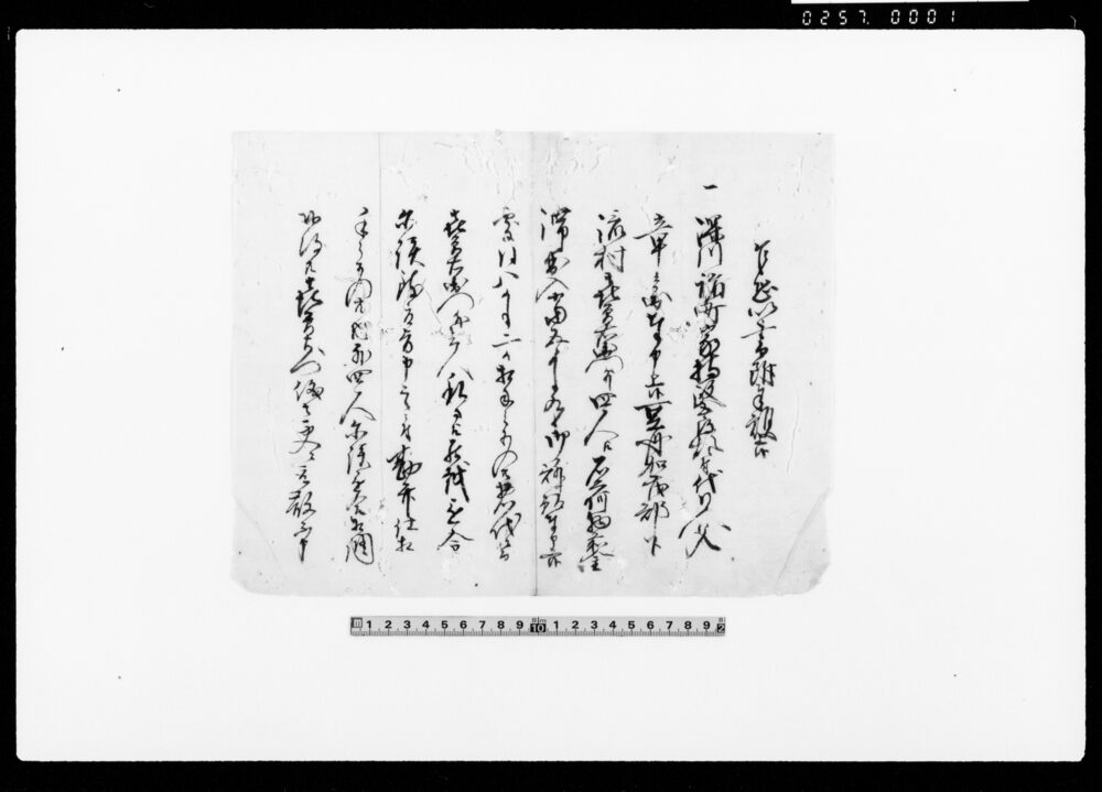 作品画像：議定書之事