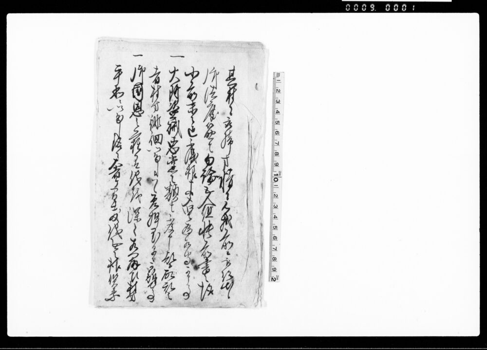 作品画像：（廻状写）