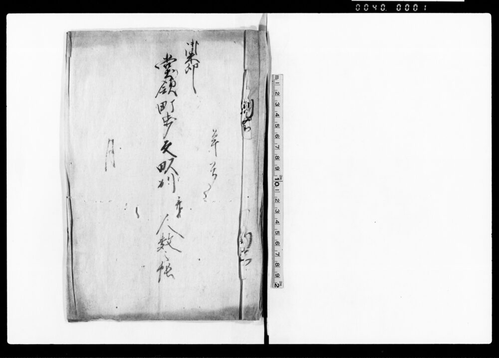 作品画像：堂領町歩反別并人数之帳