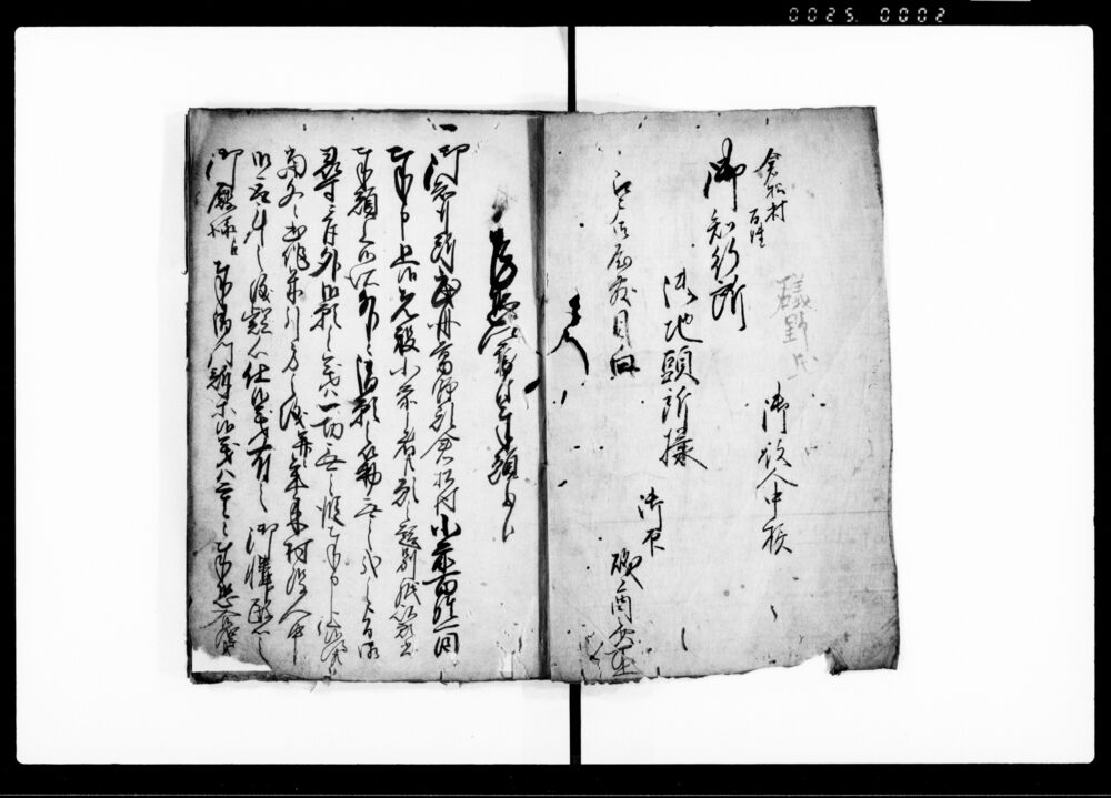 作品画像:武州葛飾郡倉松村御門訴一件 控