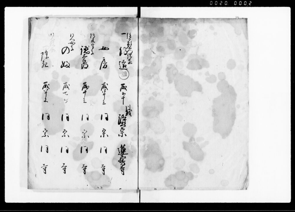 作品画像：人馬御改帳（武州入間郡川越喜多町）