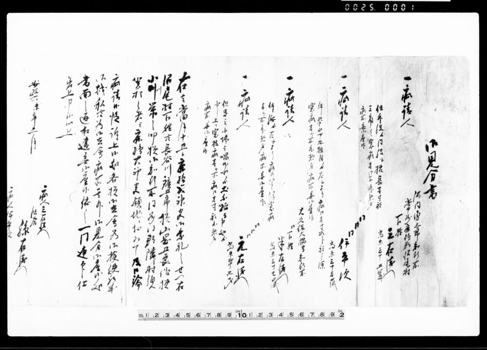 作品画像：御見分書（口論にて疵請人見分）