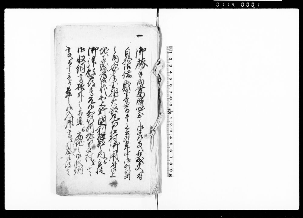 作品画像：（勝手向倹約箇条并元締掛り任命の旨につき書付）