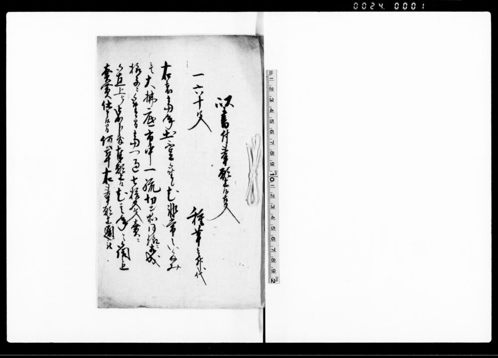 作品画像：以書付奉願上候事