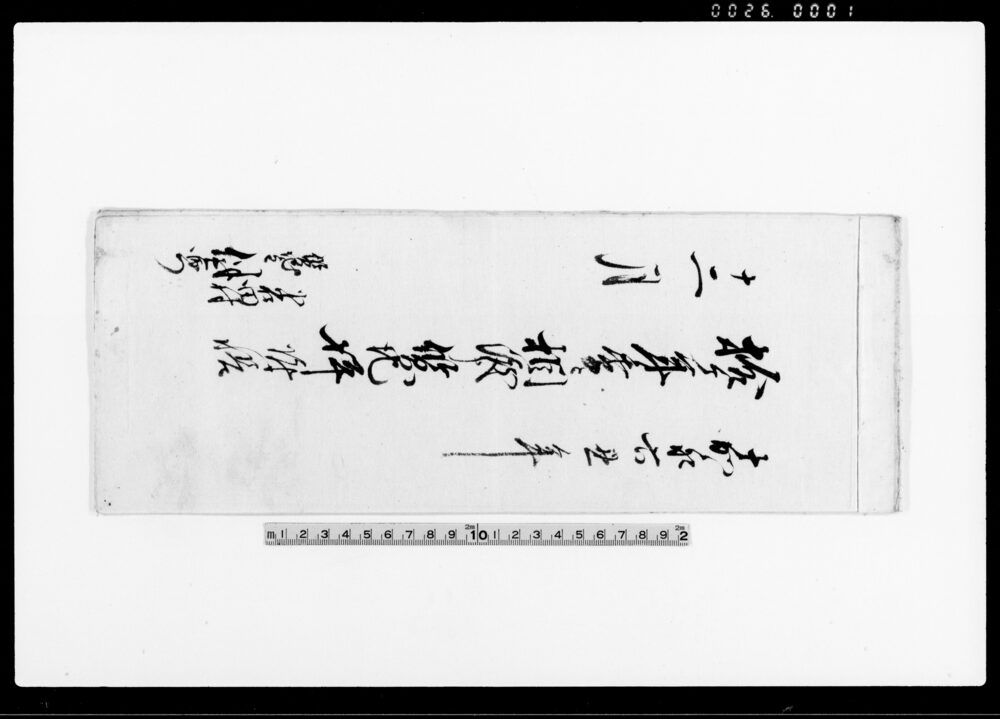 作品画像:拾ヶ年季ニ相渡申質地坪附帳(代金185両2分)