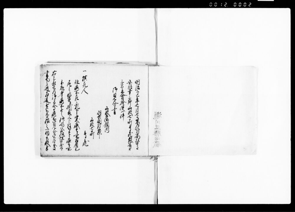 作品画像：（明治2巳年7月7日葛沢村高松寺ニ而安部幸三郎山形七日町鳥蔵殺害ニ付三方立会検使一件）