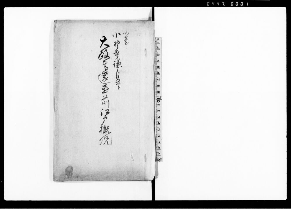 大政奉還直前江戸概況