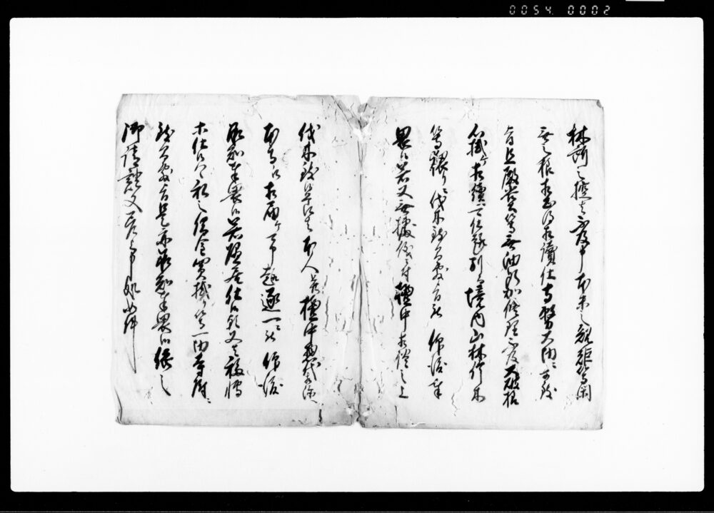 作品画像：差上申御請一札之事