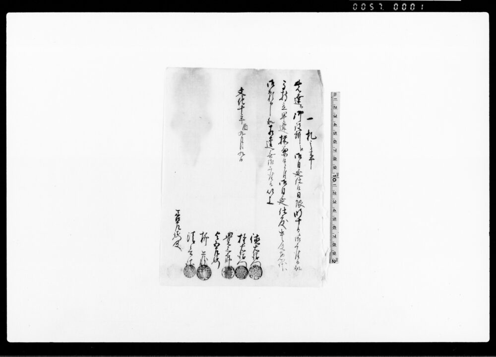 （信州小縣郡古文書）