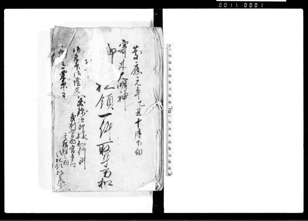 作品画像：寄木大明神御□□領一件取計方扣