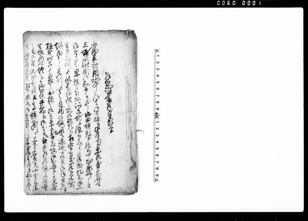 作品画像：（乍恐以書付奉願上候他）