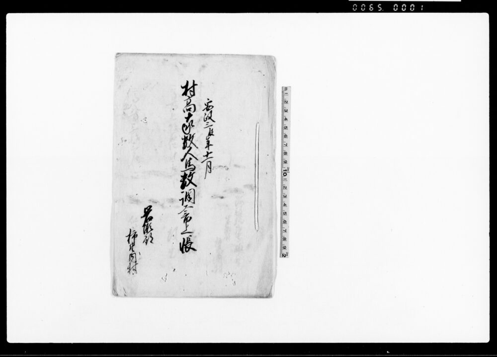 村高家数人馬数調書上帳（岩瀬郡柿墅内村）