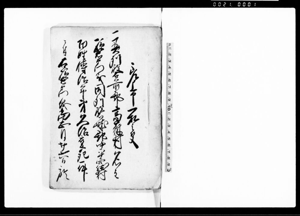 作品画像：差上申一札之事（磐城郡中平窪村百姓伝治郎弟久治変死一件につき）