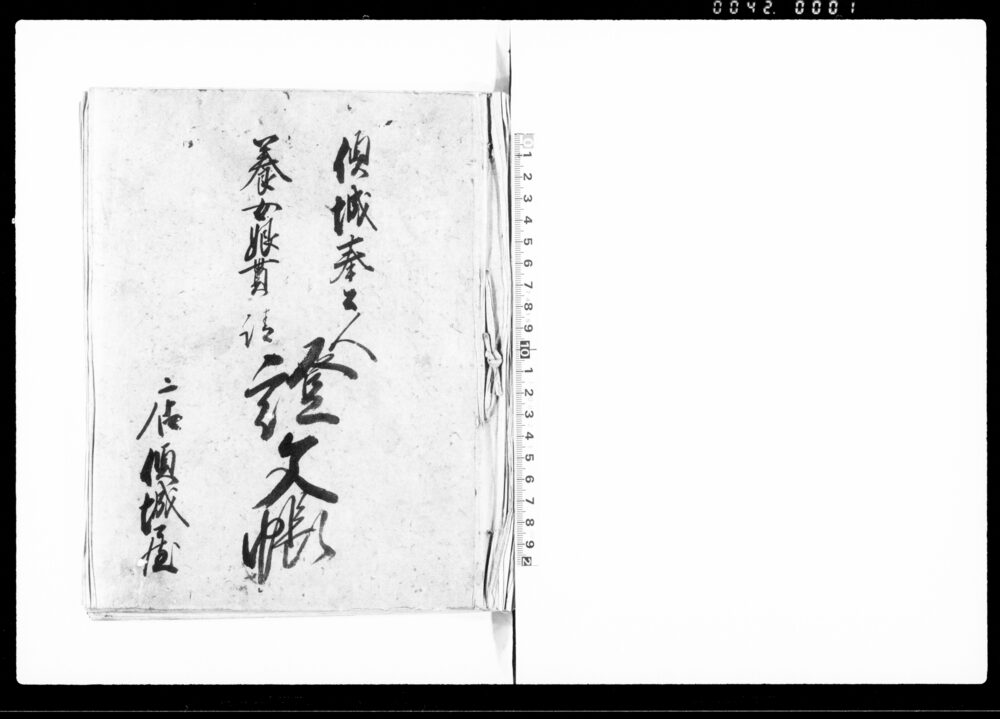 作品画像：傾城奉公人養女娘貰請証文帳