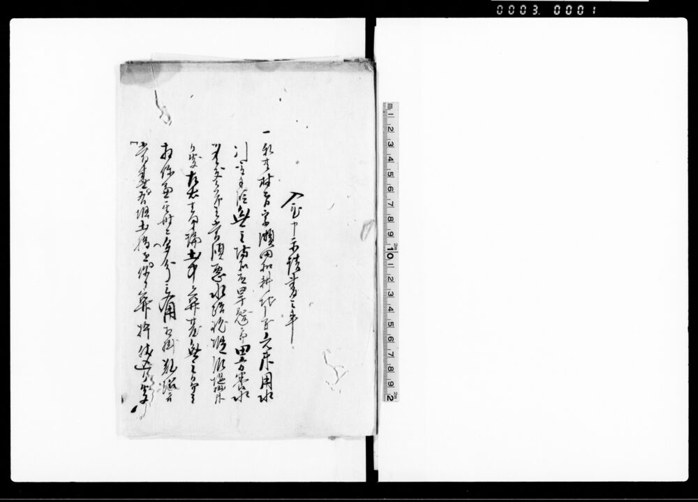 作品画像：入置申示談書之事（土橋により水行妨げのため取り払い示談）