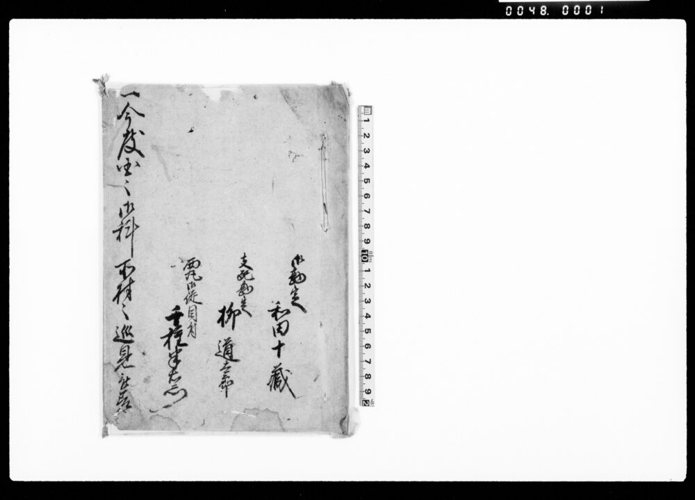 作品画像：（今度国々御料所村々巡見被差遣候ニ付村々御尋）