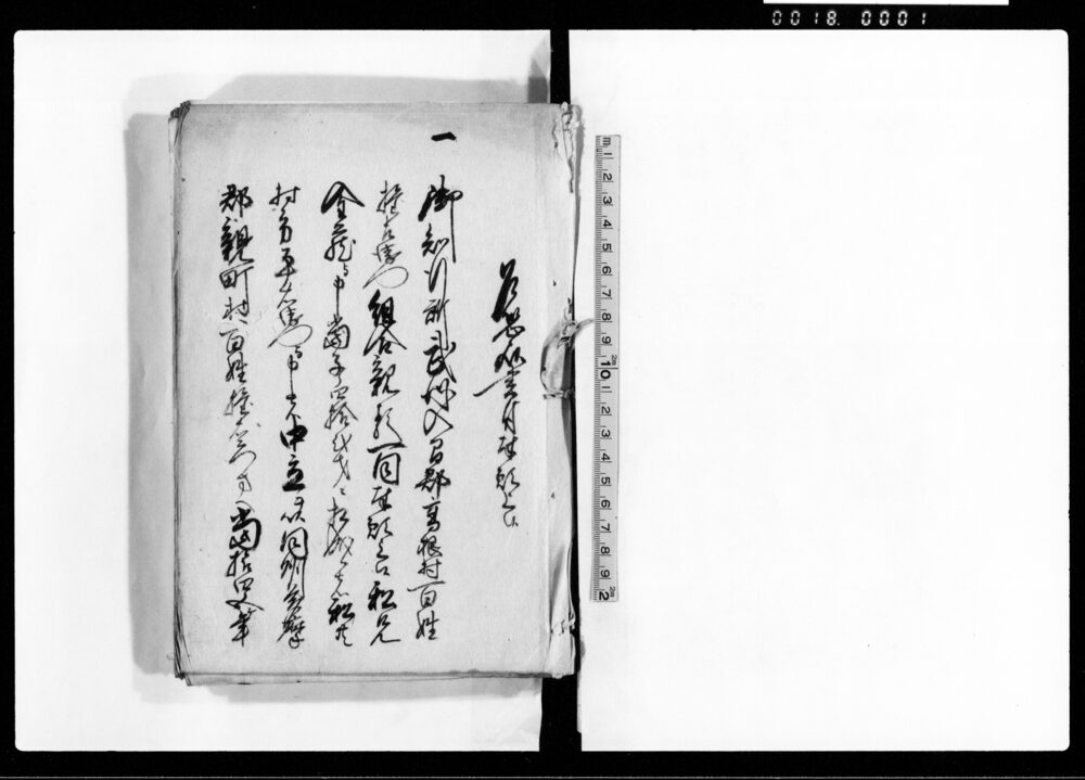 作品画像：乍恐以書付奉願上候