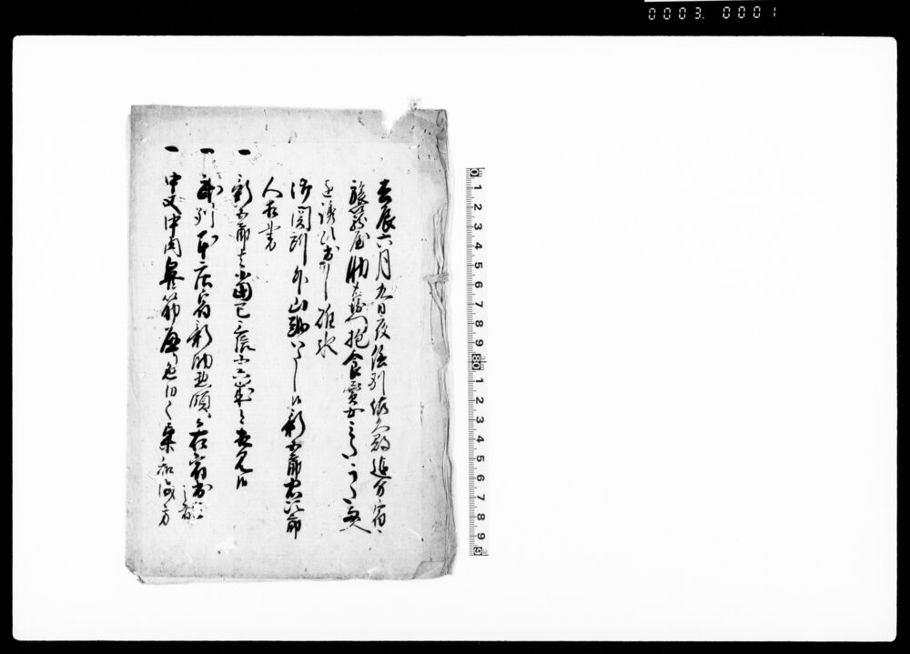 作品画像：（新五郎忠次郎人相書）