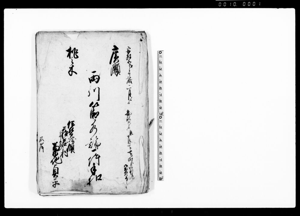 作品画像：広瀬・桃之木両川筋水論一件手扣