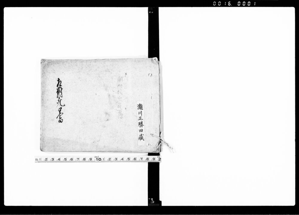 作品画像：相対死書留（東振村半次郎死娘むめ相対死につき一件）