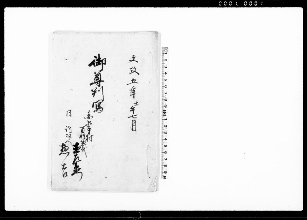 作品画像：御尊判写（円上寺潟より水押上ヶにつき当村差支のため一件）