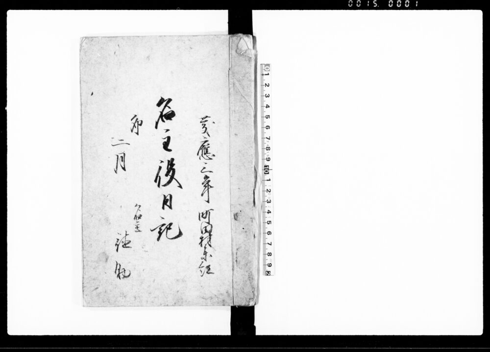 作品画像：名主役日記