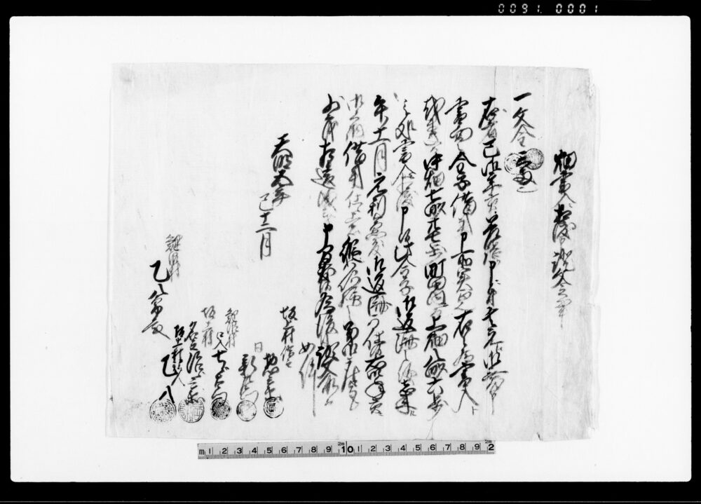 作品画像：畑買入ニ相渡申証文之事（御年貢差詰り・文金三両） 他
