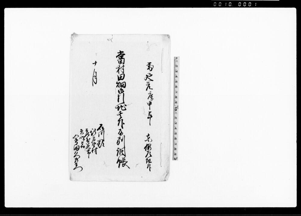 作品画像：當村田畑御引地其外反別調帳（石川郡行方墅村）
