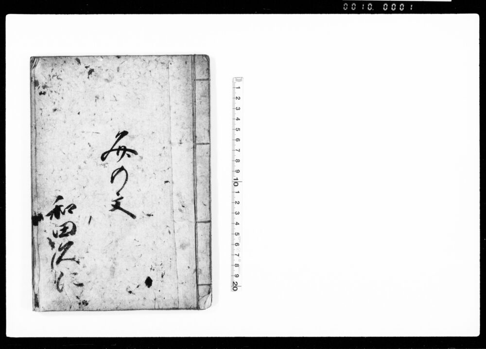 作品画像：文の文
