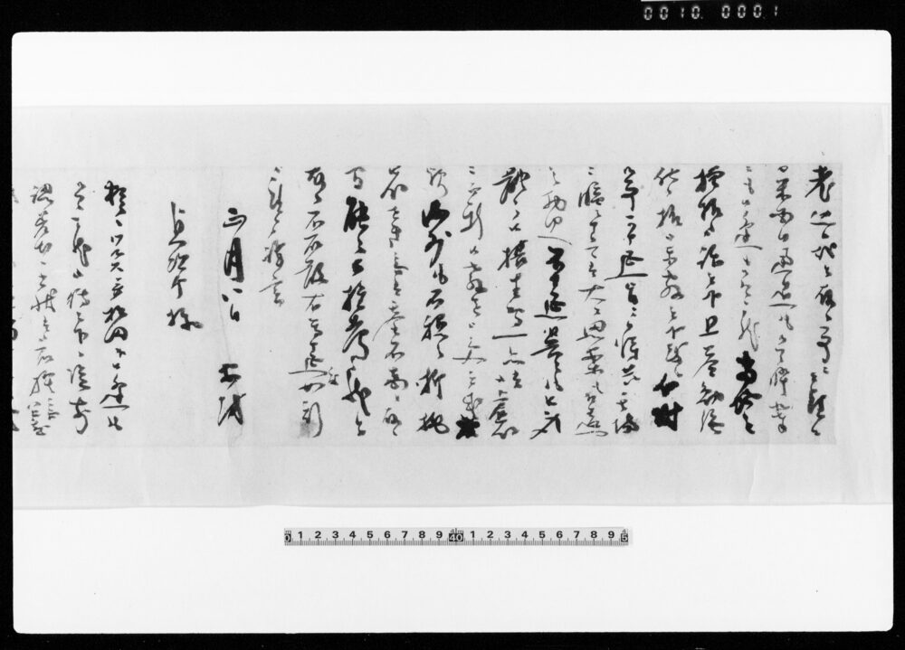 作品画像：富田貞次郎宛 勝海舟書簡