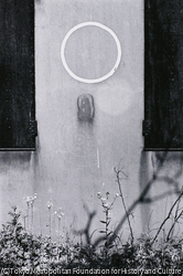 作品画像：