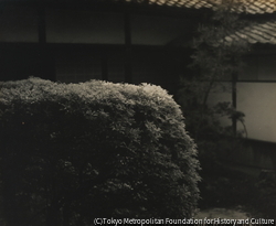 作品画像：東大寺塔頭