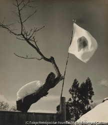 作品画像：（国旗と雪屋根）