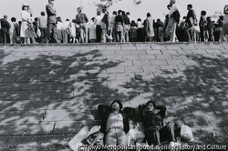 作品画像：台東区 浅草隅田公園