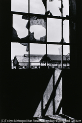 作品画像：