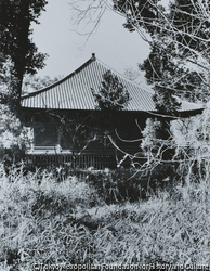 作品画像：国分寺、本堂